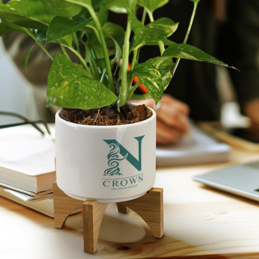Desk Planter Pots Lifestyle